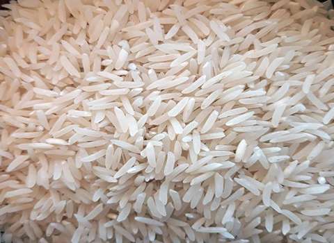 قیمت برنج طارم هاشمی اعلا + خرید باور نکردنی